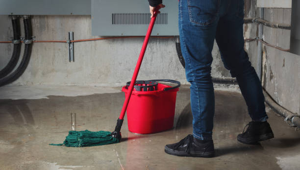 Best Local water damage restoration  in Chamblee, GA