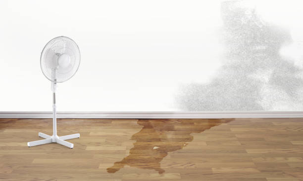 Carpet water damage restoration in Chamblee, GA