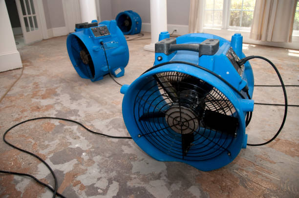 Best Water damage restoration near me  in Chamblee, GA