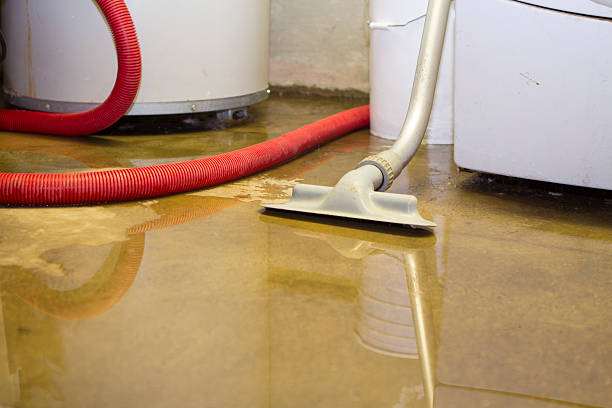 Best Sewage cleanup and water damage restoration  in Chamblee, GA