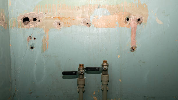 Best Carpet water damage restoration  in Chamblee, GA