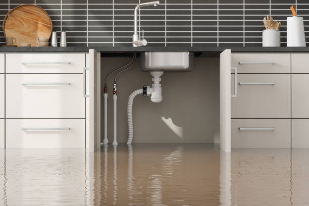 Best Water damage restoration company  in Chamblee, GA