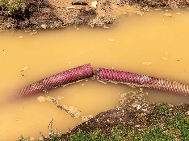 Best Water damage cleanup near me  in Chamblee, GA