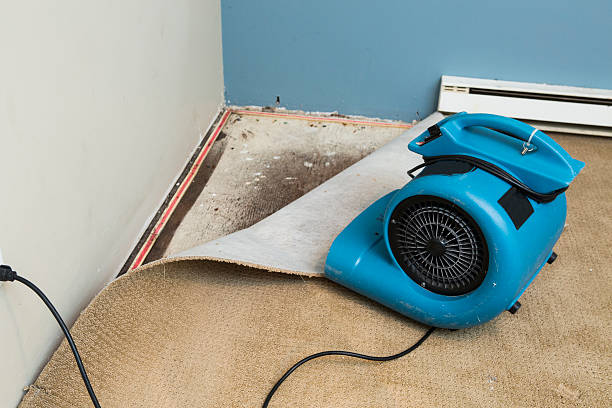 Best Fire Damage Restoration  in Chamblee, GA